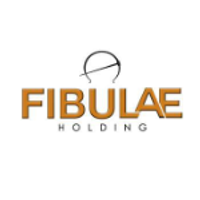 Fibulae Holding